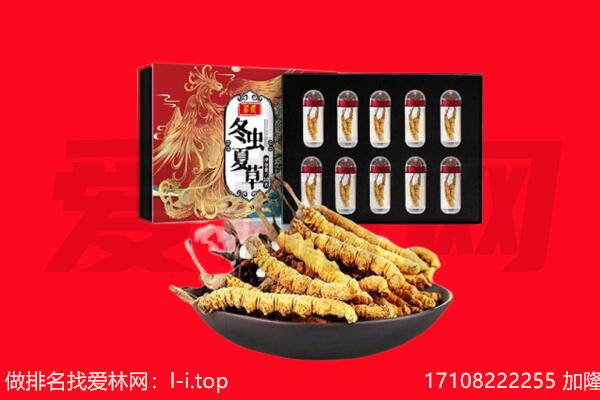 吴忠回收虫草.jpg